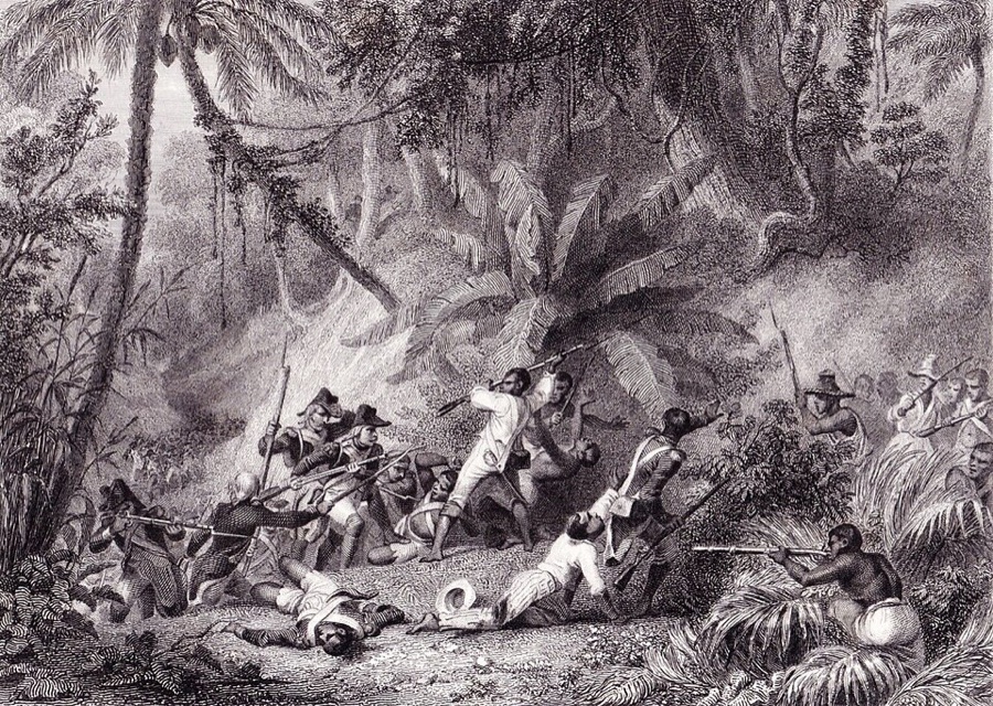 Bataille de la Ravine à Couleuvres